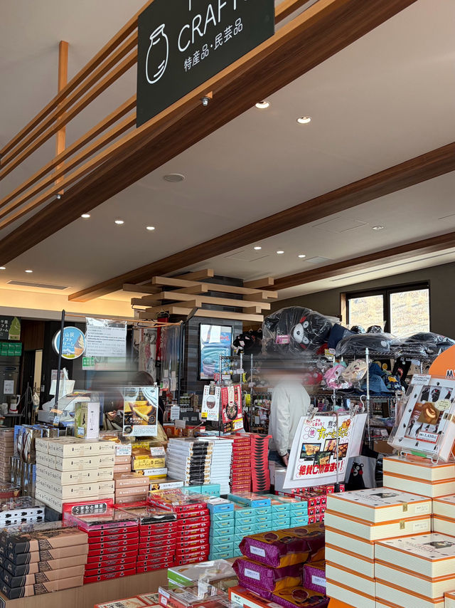 【阿蘇観光】阿蘇観光マストの観光地!阿蘇山噴煙展望公園