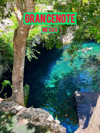 [Mexico] Unbelievable clarity! The breathtaking scenery of Gran Cenote, where you'll be moved by the curtain of light.