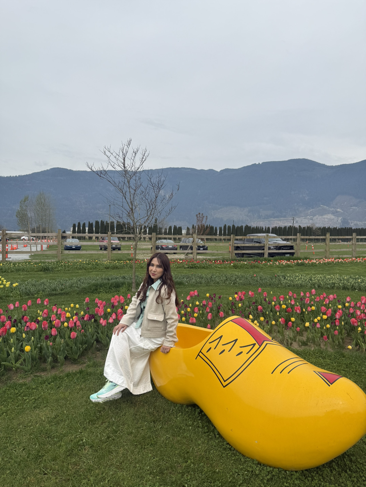 Agassiz - Harrison Tulip Spring Fields - 圖 7