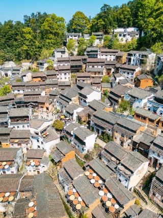 婺源篁嶺 — 春が黄金色の畑に刻まれる記憶となる場所。