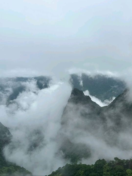 黄山｜雲海に浮かぶ幻想的な絶景。 | Trip.com 黄山