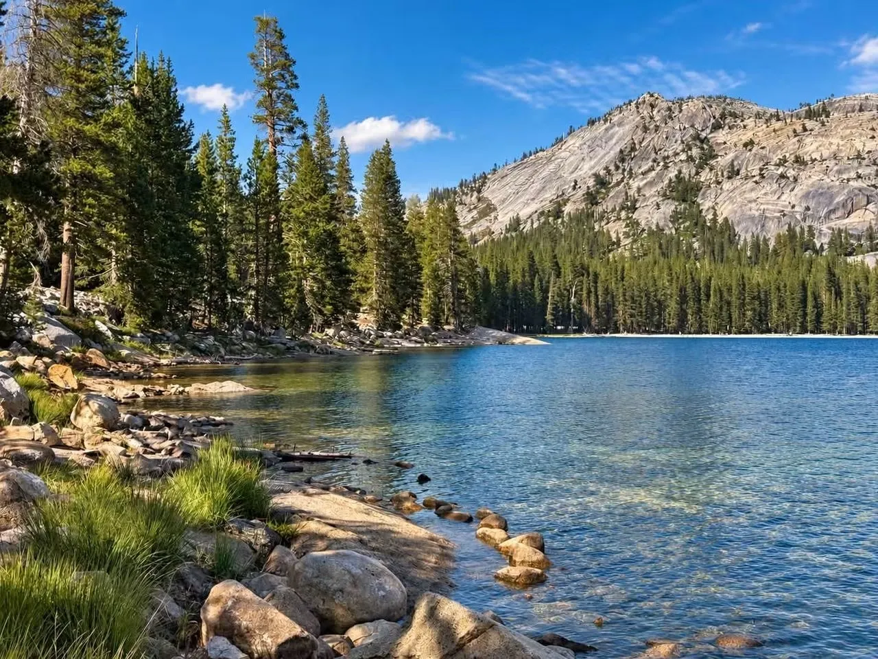 🏔️ Yosemite National Park — Where Nature Feels Immense 🌲✨