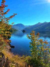 🍁 Fall Colors Beneath the Shadow of Mount St. Helens 🌋