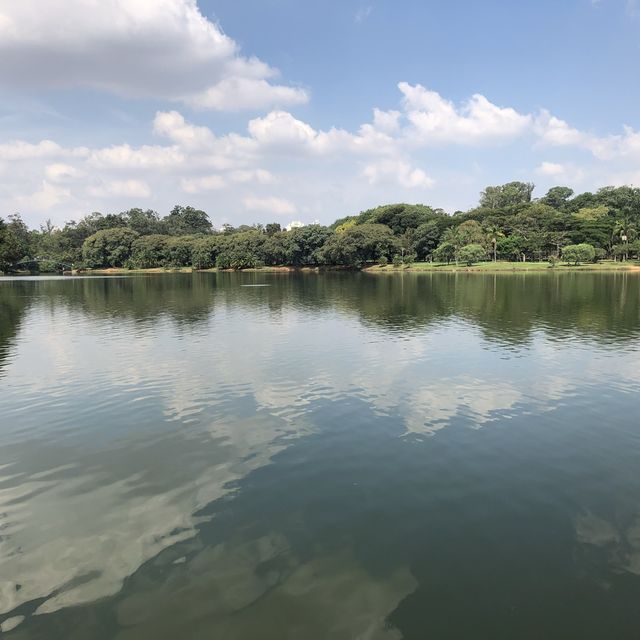 Sensational São Paulo 