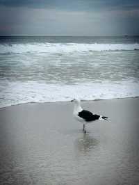 Best beach in the world: Copacabana Beach