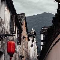 Lost in Longmen 