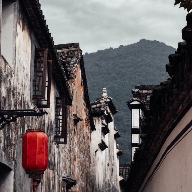 Lost in Longmen 