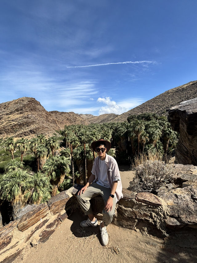 come and see the desert oasis！！