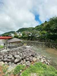 🏮【伊豆修善寺】隱世古町的日式療癒之旅🌿｜溫泉、竹林小徑、禪意滿滿✨