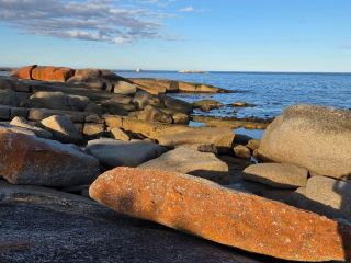 After visiting Tasmania Wineglass Bay, we stopped by the small town of Bicheno, which was healing and quiet. Discover that there are not only beautiful beaches, penguin groups, but even the food is a surprise! Here are a few must-try beautiful restaurants and small town attractions, so check out what Bicheno can eat and play!

Le Cog Restaurant
Address: 2a Foster Street, Bicheno TAS 7215
Opening hours: Wednesday to Sunday 5:30pm - 9:00pm
Mains: venison, sea fish
Price: Main courses $30-$45 around, about $60 per person
Environment: French vibe, leisurely light, cottage nestled on a quiet street in a small town
Impressions: Tender venison, fragrant meat, excellent with seasonal sauce; sea fish selected locally caught grouper, full of freshness, grilling treatment is very delicate. A small French restaurant, feeling full of sincerity. Reservations are recommended, travelers will come here in the off-season.

Bicheno East Coast Holiday Park
Address: 4 Champ Street, Bicheno TAS 7215
Opening hours: Open year-round
Featured: Cheap accommodation, fully equipped
Price: Around $30-$120 per night (depending on room type)
Environment: Close to town center, with camping and cabin, a variety of room types to choose from
Impressions: Clean environment, with a shared kitchen for easy cooking. Close to several natural attractions, great for driving or staying with friends!

Blowhole & Penguin Tour
Address: Near Bicheno Town Center, Blowhole Rd
Features: Natural rock cave fountain, wild penguin night tour
Price: Blowhole free, penguin tour $40-$50 per person
Impressions: Go to blowhole at dusk to see the sea water gushing, especially shocking; then participate in the local penguin tour, the trip courteously guided by a guide, you can see penguins returning to their nests up close, super cute!

Overall evaluation
Bicheno is small, with sea views, wildlife and authentic cuisine, amazing French vegetables venison and sea fish, diverse accommodation options and a healing journey. Looking for a slow-moving seaside town on the east coast of Australia, I highly recommend a try!

Tips:
It is recommended to drive in and out of the most convenient way, book accommodation early in the summer, penguin tour to book in advance. In addition, there is a supermarket in town where you can buy local ingredients to cook yourself ~ #Tasmanian food #Bicheno town #WineglassBay Tourism #Penguin Tour Must-Play #Natural Scenery Recommendation
