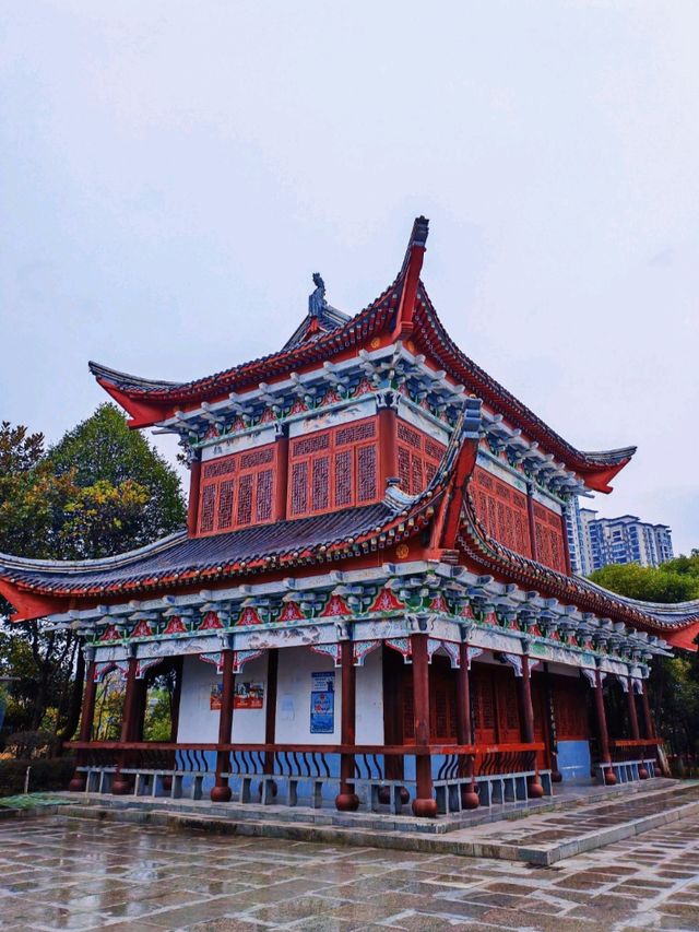 鶴鳴洲綠意散步好去處🌳 鶴鳴洲綠意散步好去處🌳