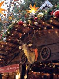 Рождественские ярмарки в Шанхае 🇨🇳