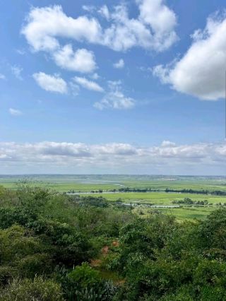 ประสบการณ์ผจญภัยในอุทยานแห่งชาติคิสซามะ 🐃