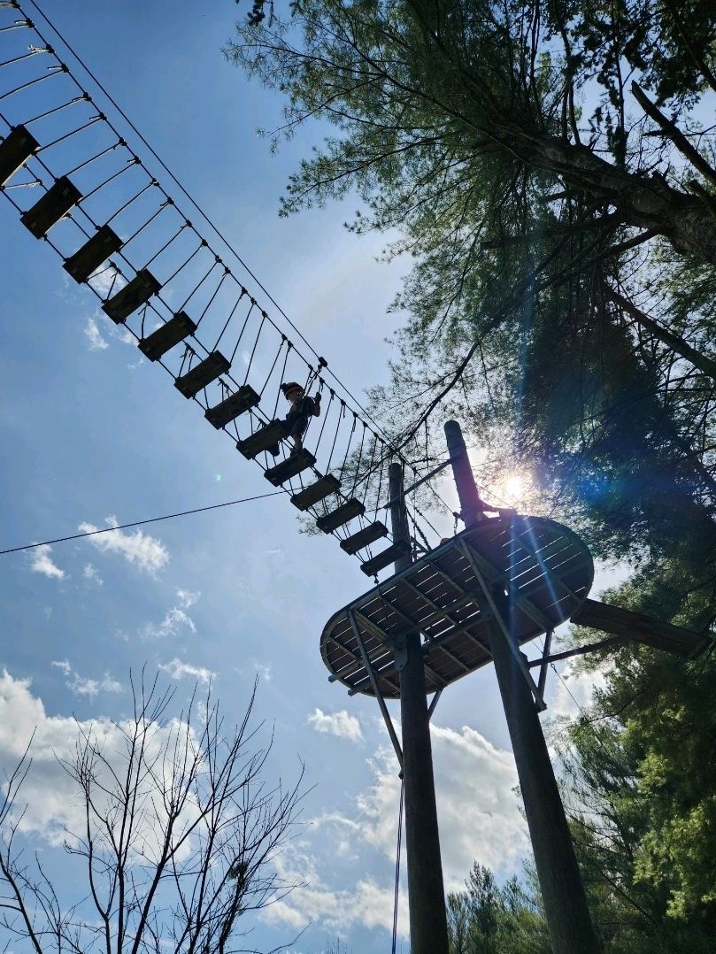 Fun ziplining Adventure for Kids | Trip.com Hocking County