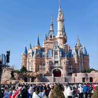 Magical day at Shanghai Disney Resort