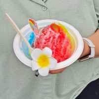 Hula Shave Ice: Xuanwu Lake
