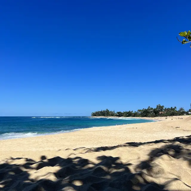 Cheap Hawaii fall trip! 