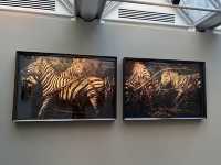 Hamiltons Gallery: Where Art Unveils Stories
