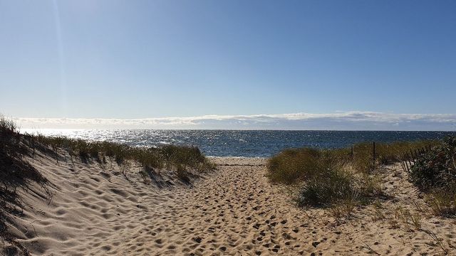 Coastal Delights