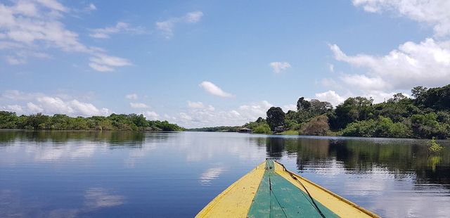 Adventures in the Amazon Rainforest