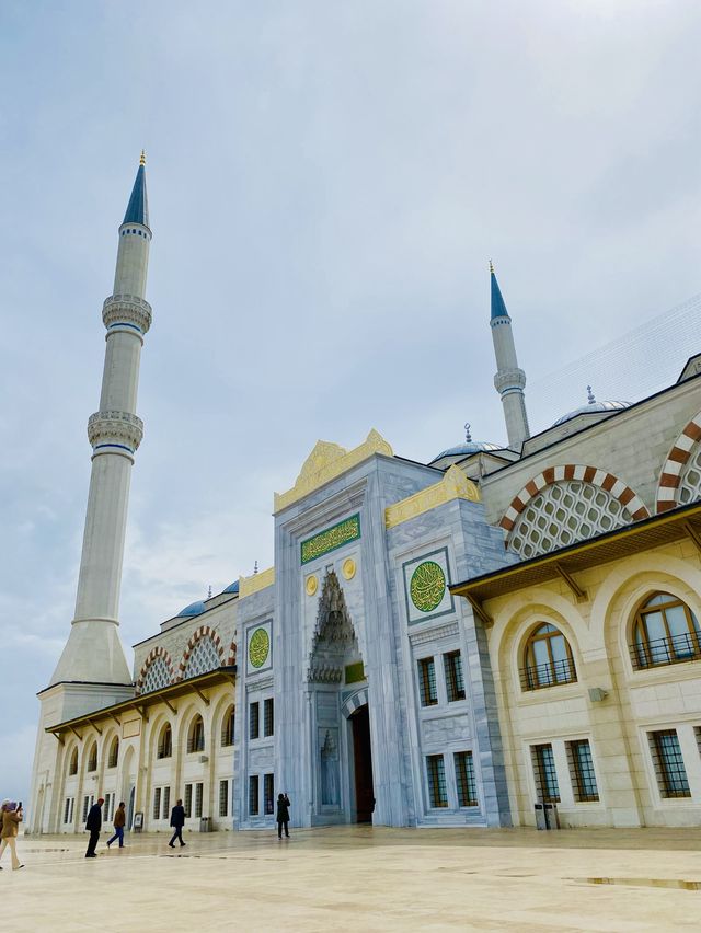 Istanbul Birds Eye view