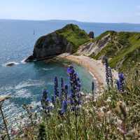 Durdle Door Beach 