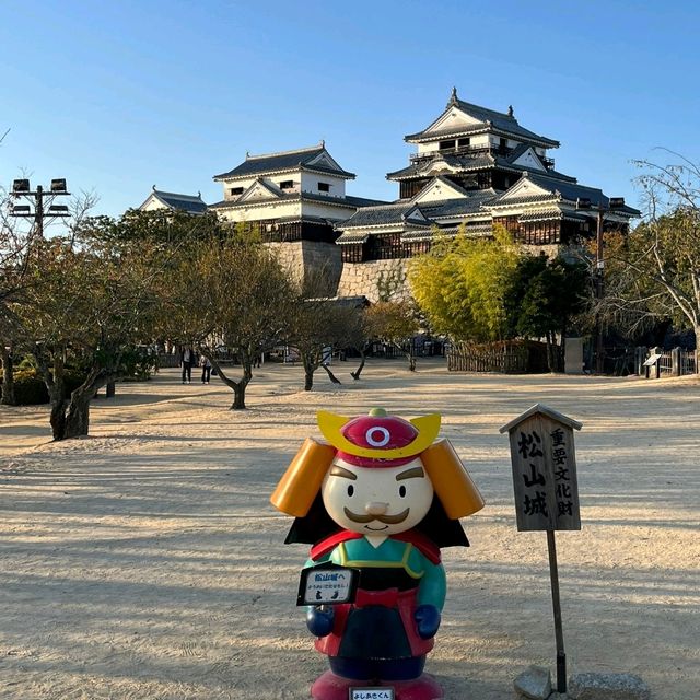 Awesome Matsuyama castle