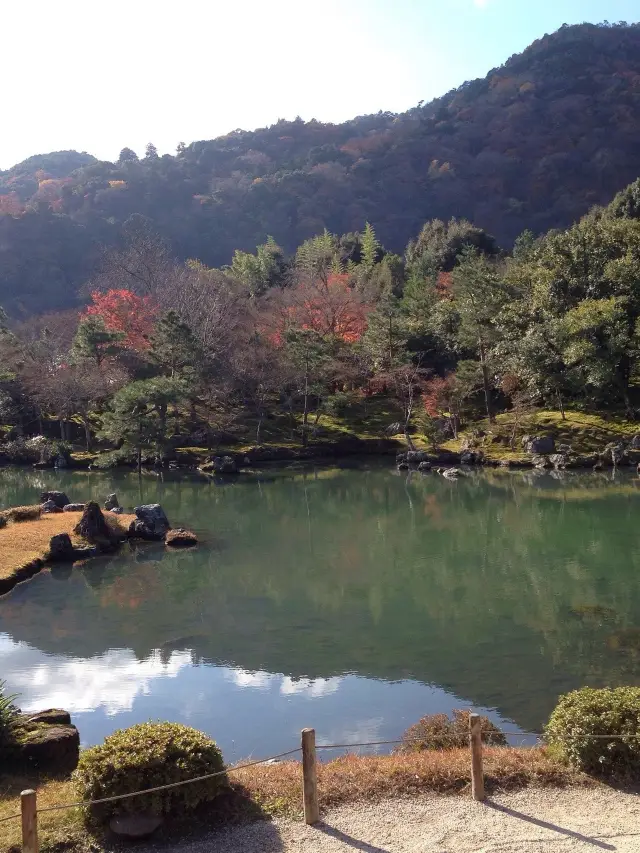 Mystical Kyoto 🍵