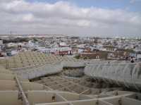 Walking of the top of Seville: Las Setas 🇪🇸