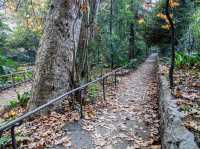 Fern Dell Nature Trail 🇺🇸
