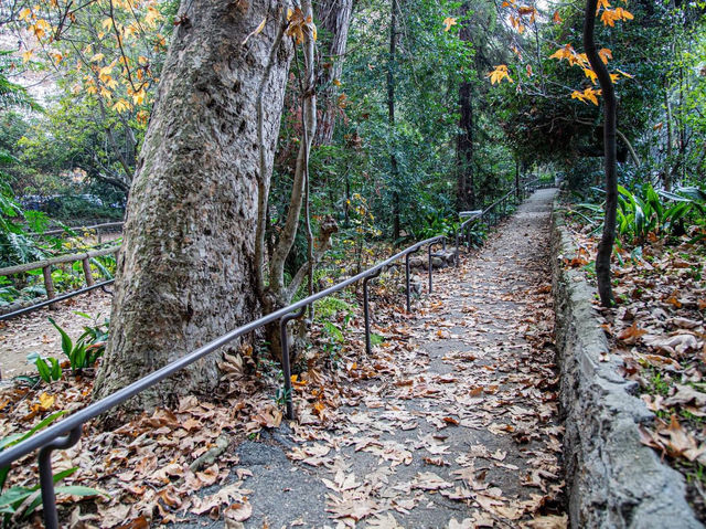 Fern Dell Nature Trail 🇺🇸