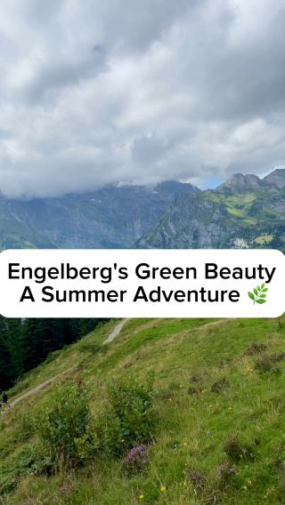 A Summer Adventure 🌿