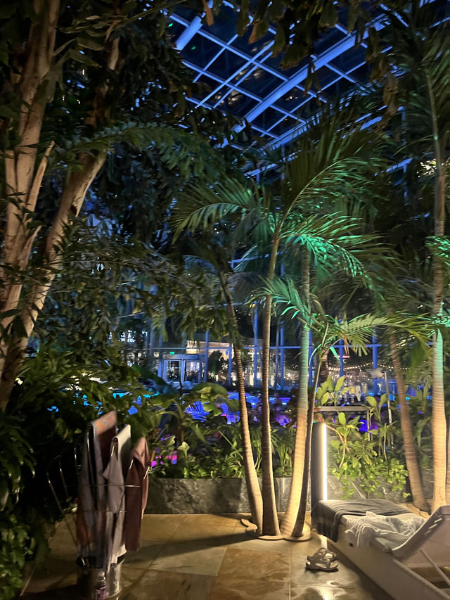 hot springs Therme