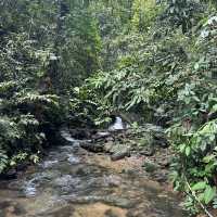 A perfect day in North Sumatra Bukit Lawang Jungle with Orangotans