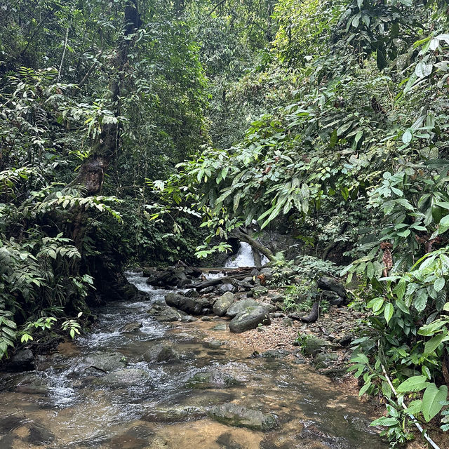 A perfect day in North Sumatra Bukit Lawang Jungle with Orangotans