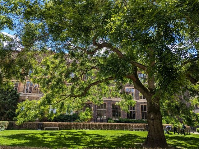 Cambridge - 1 DAY itinerary ✨⭐✨⭐✨