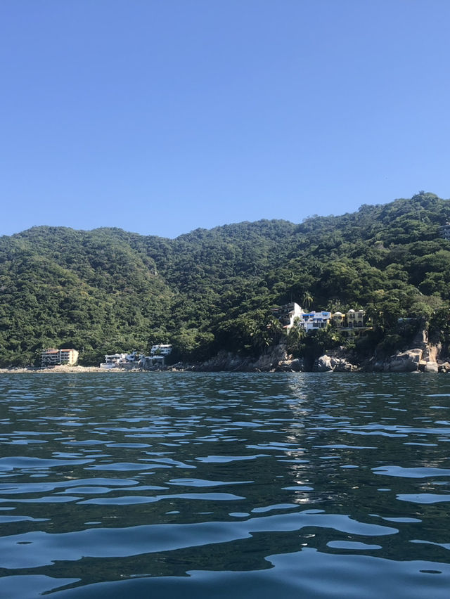 Mexico | Swim with Dolphin and enjoy the sea view
