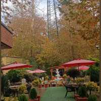 Saadabad Restaurant 