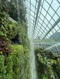 🌿✨ Cloud Forest Singapore: A Misty Wonderland in the Tropics