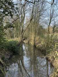 🌿 Hidden Gem: Canley Ford, Coventry