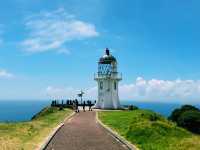 Cape Reinga Lighthouse Road Trip: The Ultimate Northern Adventure