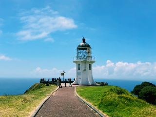Cape Reinga Lighthouse Road Trip: The Ultimate Northern Adventure