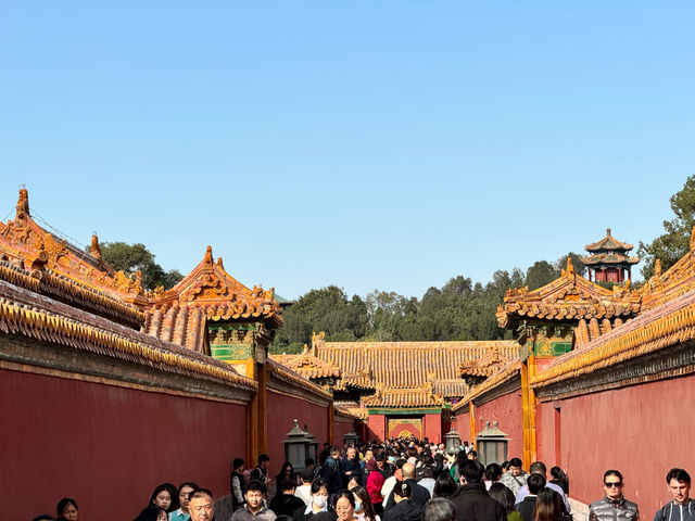 Explore the Ancient Heart of Beijing🇨🇳