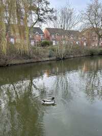 Coventry Canal: A Scenic Journey Through History