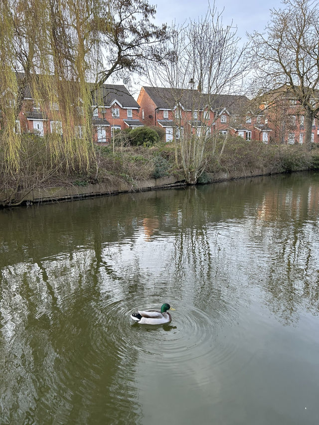 Coventry Canal: A Scenic Journey Through History