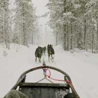 Living the Bucket List: Arctic Magic in Finland 🇫🇮