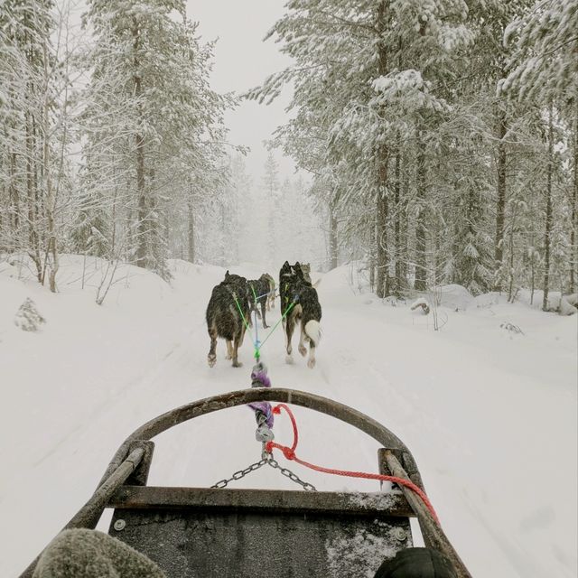 Living the Bucket List: Arctic Magic in Finland 🇫🇮