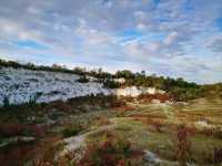 Cherry Hinton Chalk Pits – Nature’s Quiet Corner in Cambridge