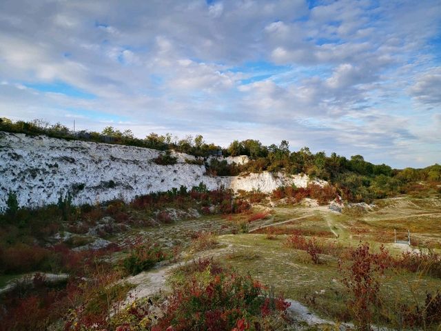 Cherry Hinton Chalk Pits – Nature’s Quiet Corner in Cambridge