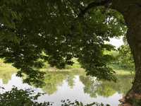 River Walk & Town Charm
